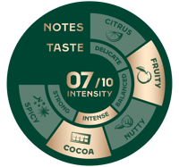 Jacobs Barista TstWhl Crema Italiano7